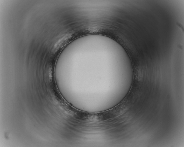 X0000103480740200809261927