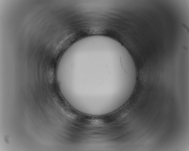 X0000103480741200809261927