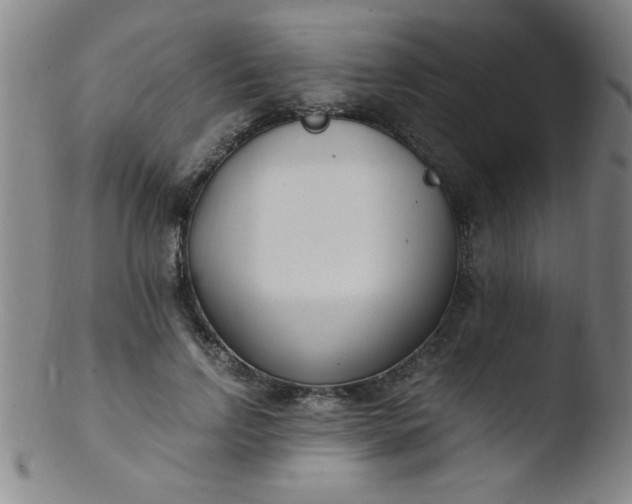 X0000103480742200809261927