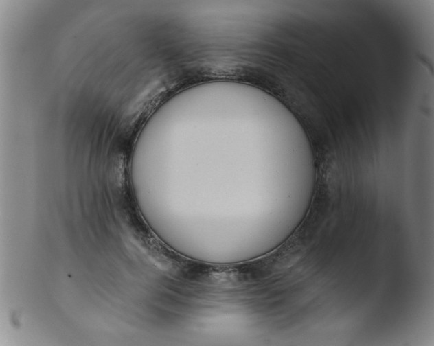 X0000103480744200809261927