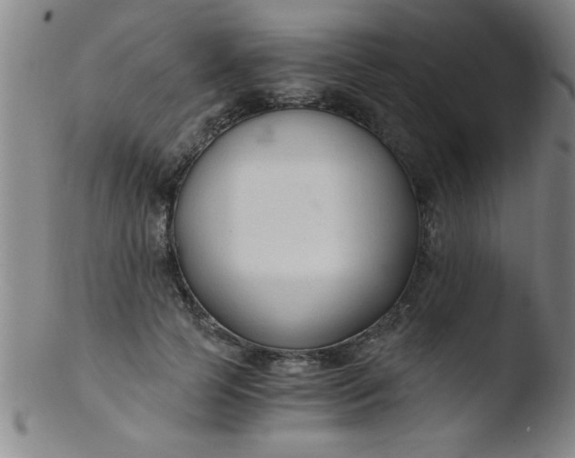 X0000103480745200809261927