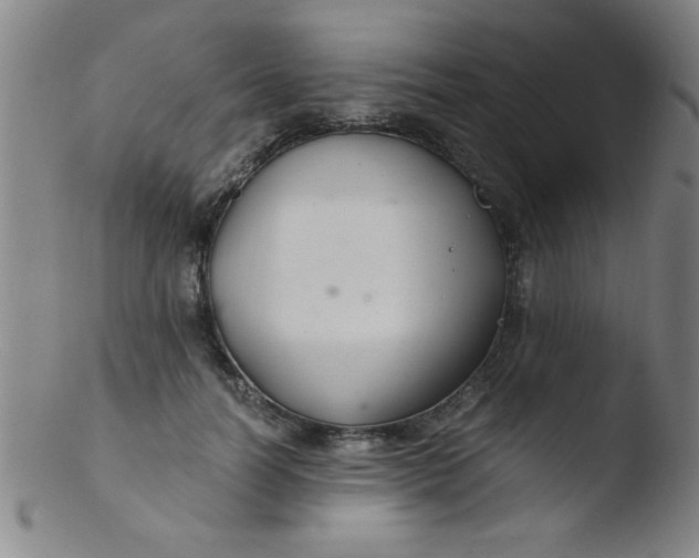 X0000103480746200809261927