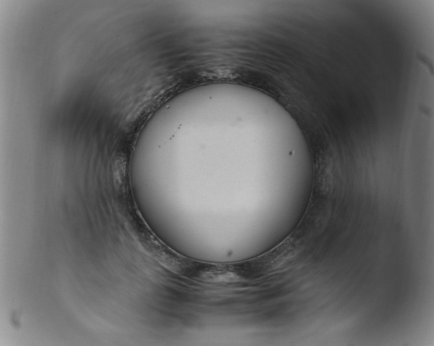 X0000103480747200809261927