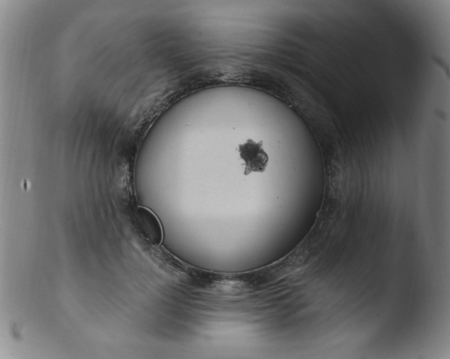 X0000103480748200809261927