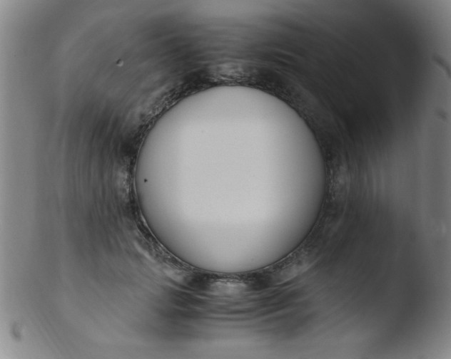 X0000103480749200809261927