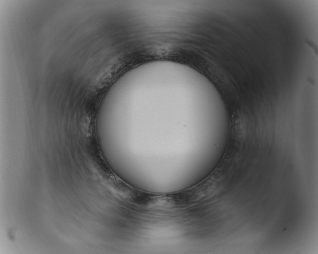 X0000103480750200809261927