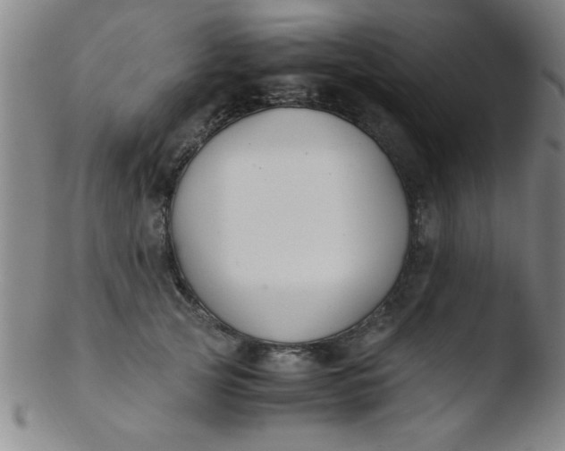 X0000103480753200809261927