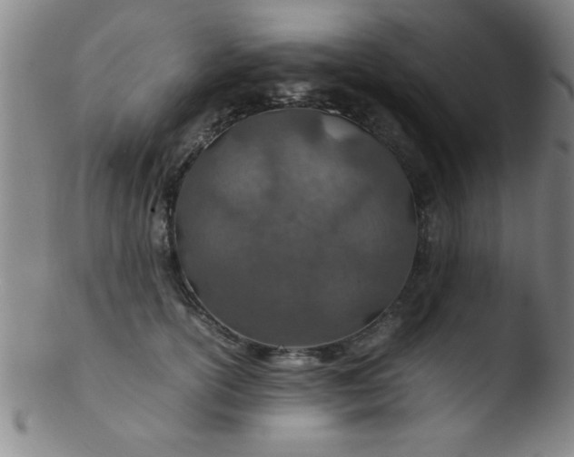 X0000103480754200809261927