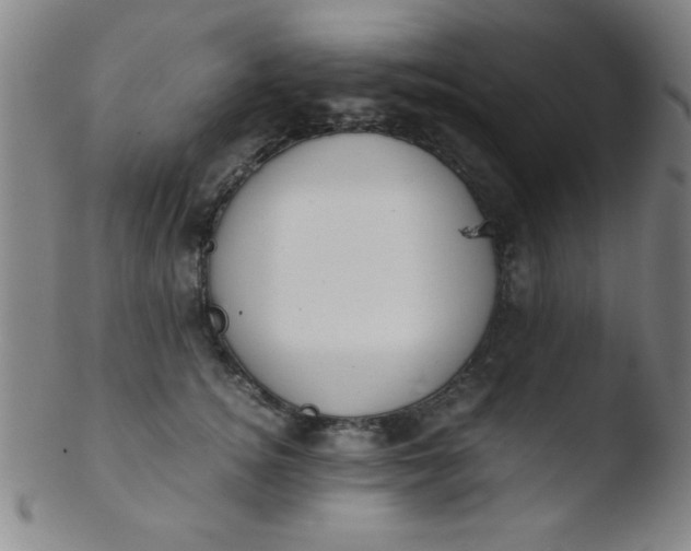 X0000103480756200809261927