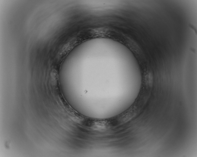 X0000103480757200809261927