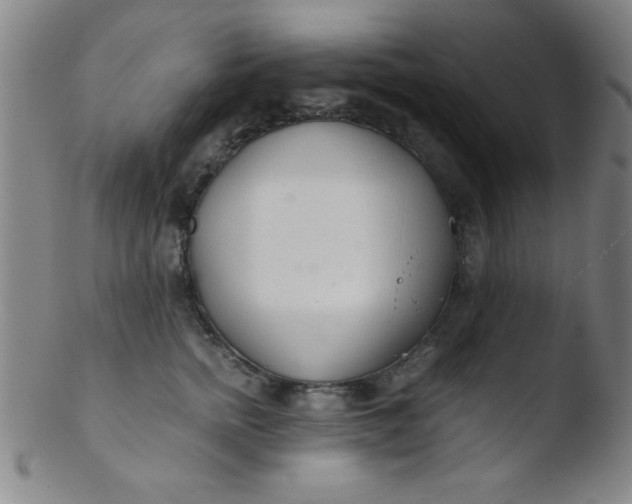 X0000103480758200809261927