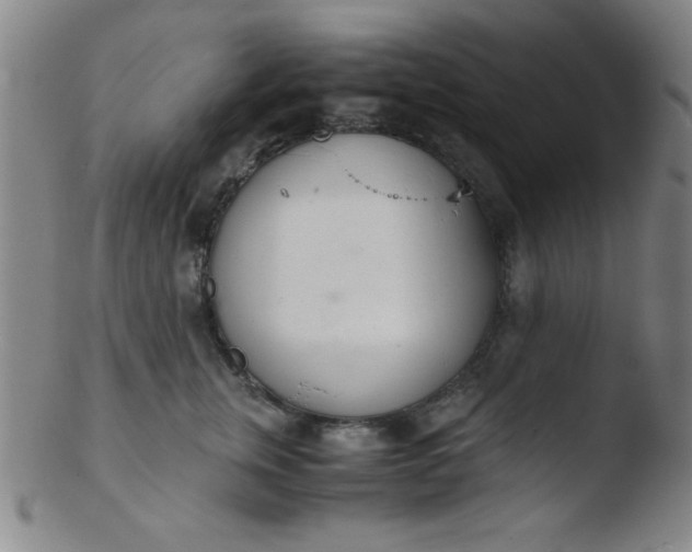 X0000103480759200809261927