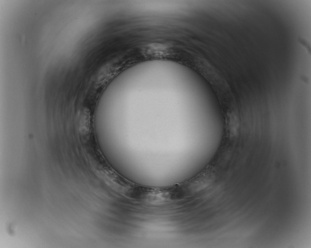 X0000103480760200809261927