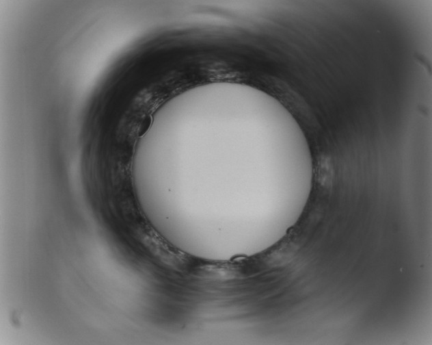 X0000103480763200809261927