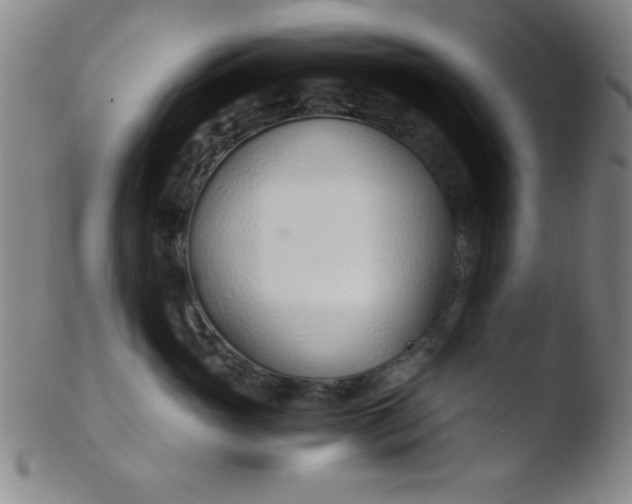 X0000103480765200809261927