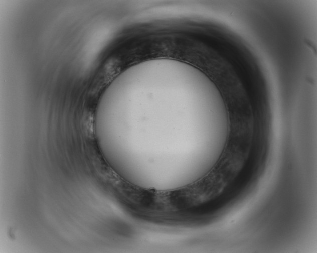 X0000103480766200809261927