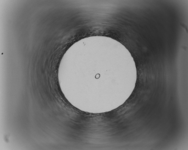 X0000103480769200809261926