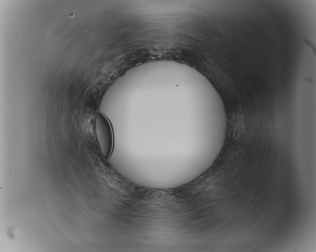 X0000103480770200809261926