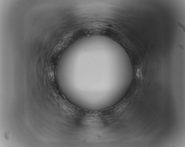 X0000103480771200809261926