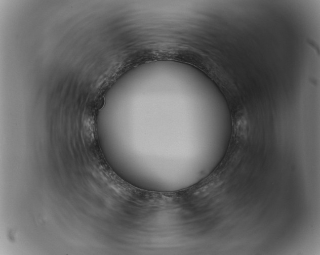 X0000103480772200809261926