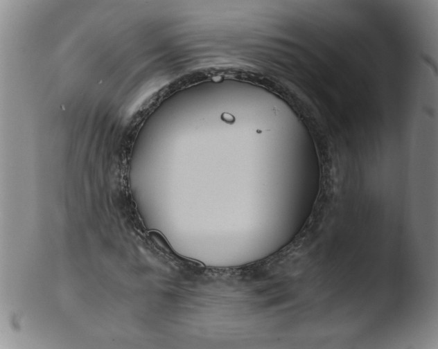 X0000103480775200809261926