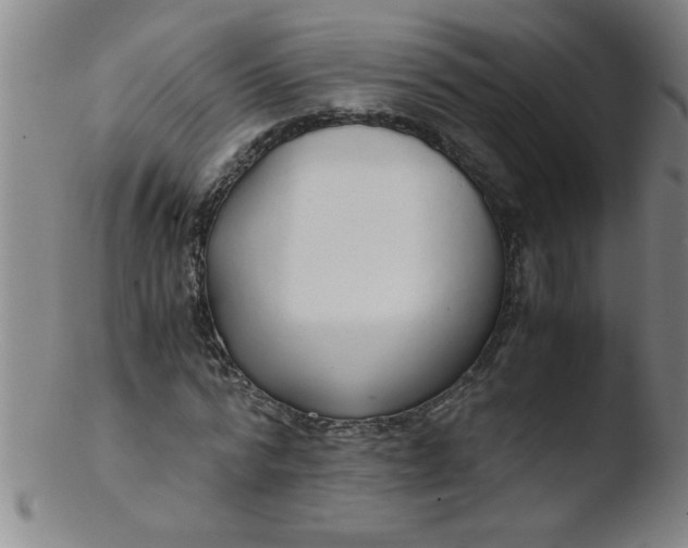 X0000103480776200809261926