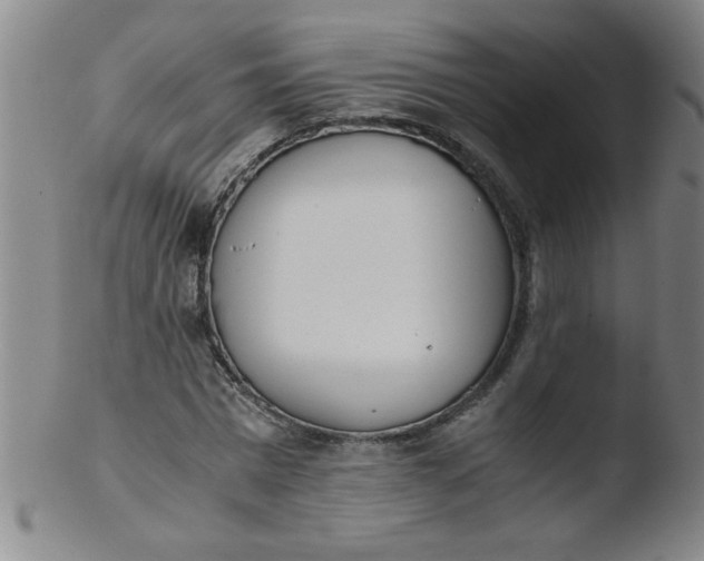 X0000103480777200809261926