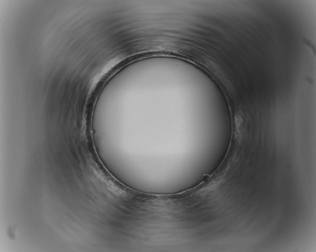 X0000103480780200809261926