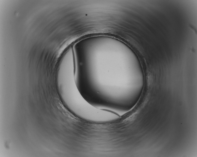 X0000103480781200809261926