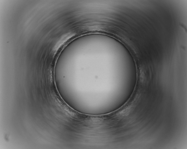 X0000103480782200809261926