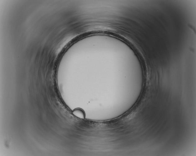 X0000103480783200809261926