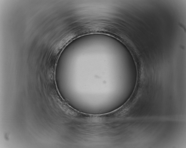 X0000103480785200809261926