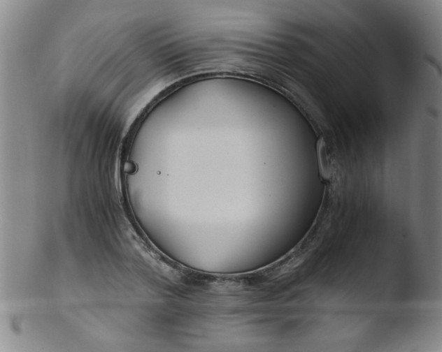 X0000103480788200809261926