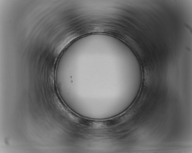 X0000103480794200809261926