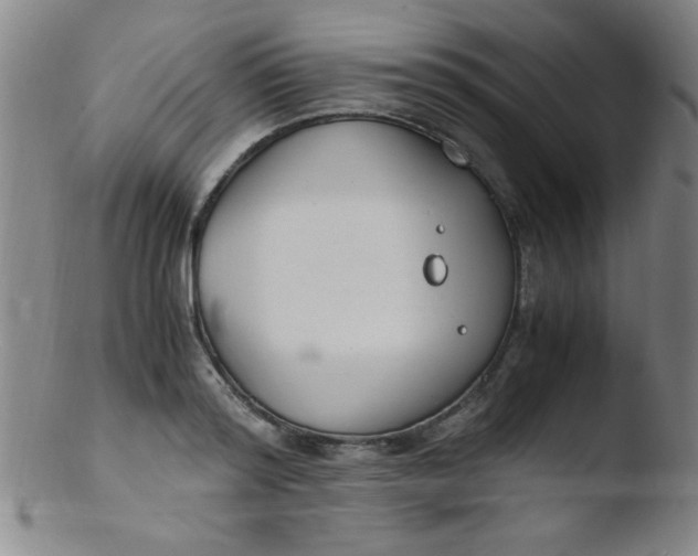 X0000103480796200809261926