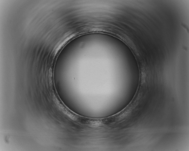 X0000103480798200809261926