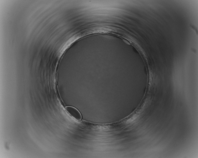 X0000103480802200809261926