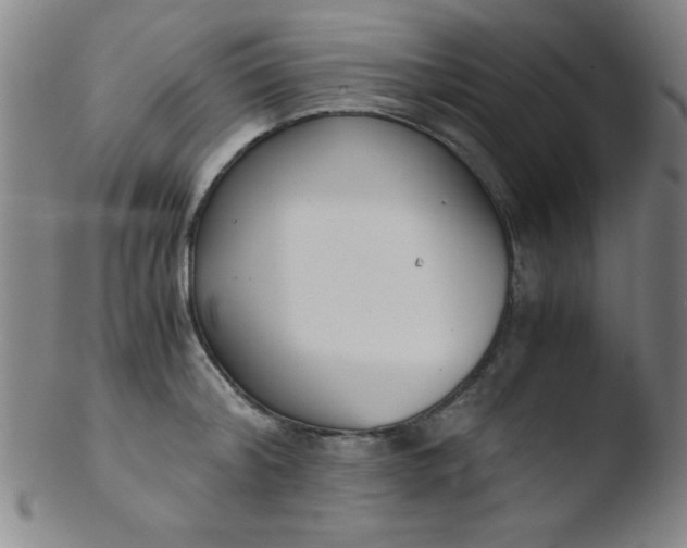 X0000103480804200809261926