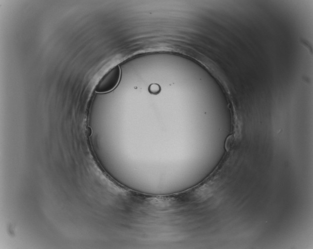 X0000103480805200809261926