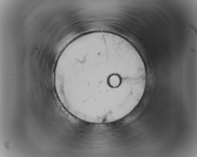 X0000103480807200809261926