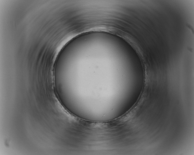 X0000103480808200809261926