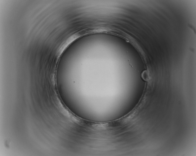 X0000103480810200809261926