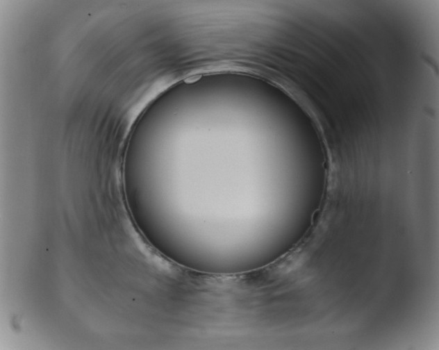 X0000103480813200809261926