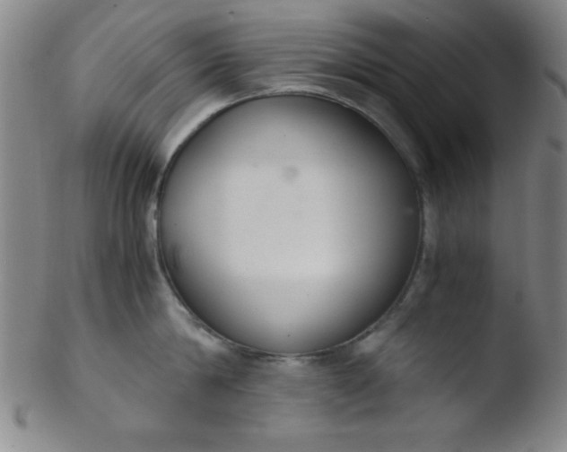 X0000103480814200809261926