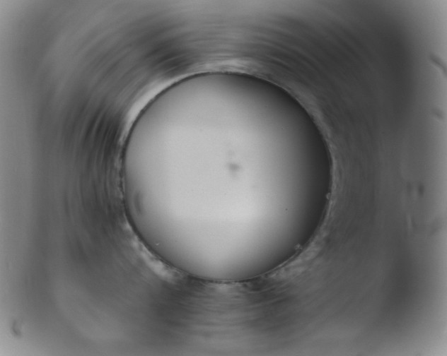 X0000103480816200809261926