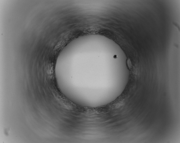 X0000103480818200809261925
