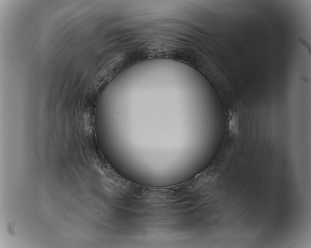 X0000103480819200809261925