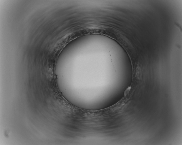 X0000103480821200809261925