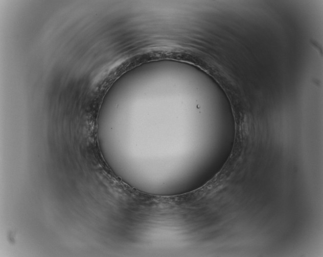 X0000103480822200809261925