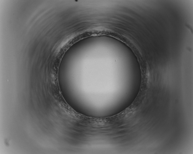 X0000103480823200809261925